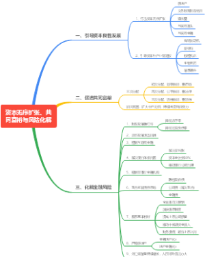 资本无序扩张、共同富裕与风险化解