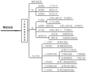 舞蹈体能-人体常态属于