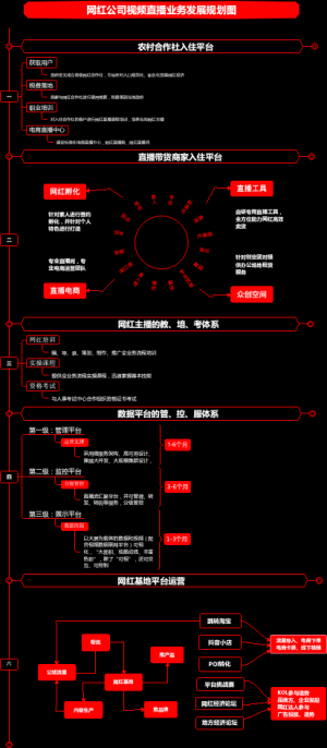 网红公司视频直播业务发展规划