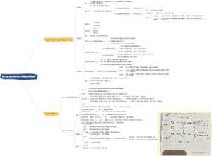 高中思想政治 必修二 第二课
