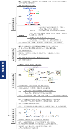 细胞工程——动物细胞工程