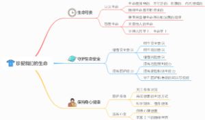 七上第三单元 珍爱我们的生命