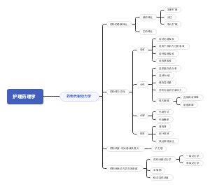 药物代谢动力学
