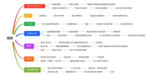 痘痘形成