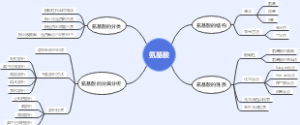氨基酸思维导图