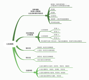 ﻿心肌细胞