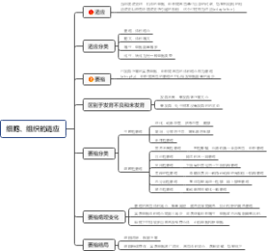 细胞、组织的适应1