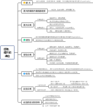 细胞、组织的适应2