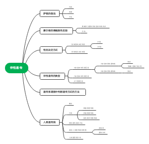 伴性遗传概念图