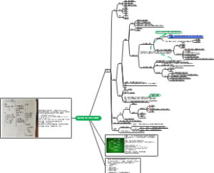 原核生物的形态 构造和功能概述