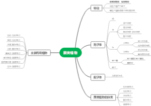 蕨类植物