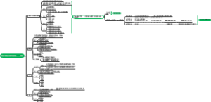 学前儿童的全面发展教育