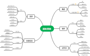 运动系统