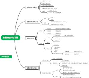 核酸结构和功能