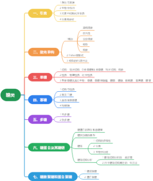 生物化学 糖类