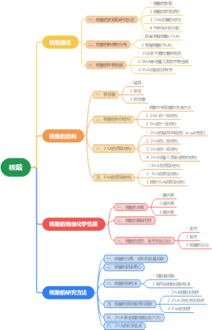 生物化学 核酸