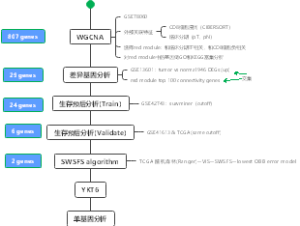 WGCNA思维导图