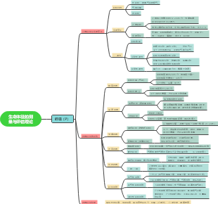 思维导图社区-搜索思维导图-生命体征