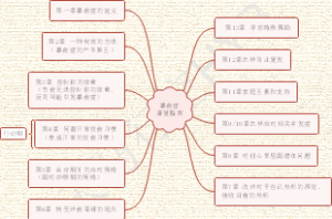 暴饮暴食康复指南