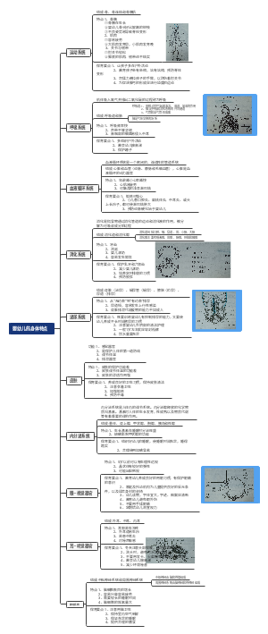 婴幼儿的身体特点