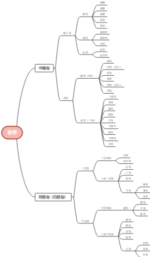 骨学导图