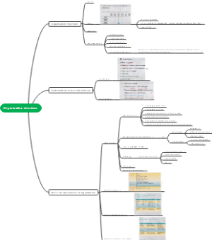 organization struction