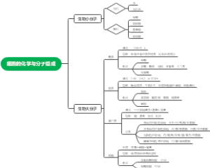 细胞的化学与分子组成