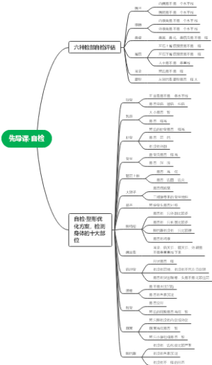 美容院不会告诉你的徒手颜体整骨术思维导图