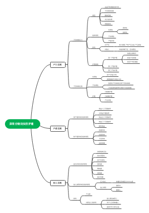 异常分娩妇女的护理