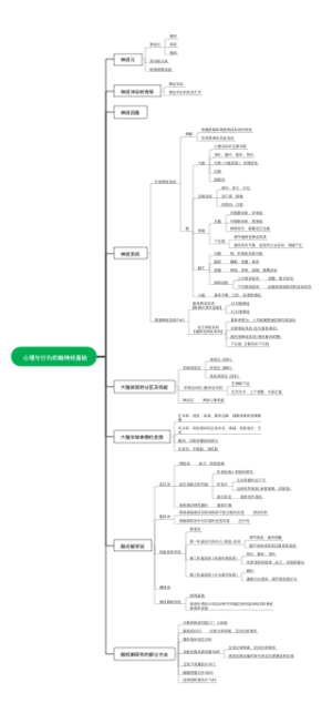 心理与行为的脑神经基础
