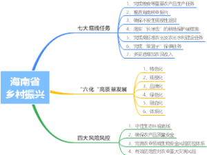 海南乡村振兴