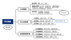 学习策略