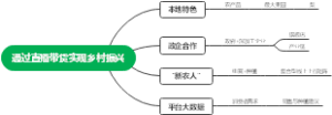 通过直播带货实现乡村振兴