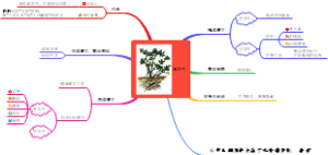 落花生课程学习笔记