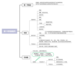 第19章镇痛药