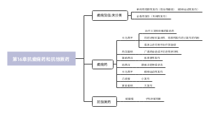 第16章抗癫痫药和抗惊厥药