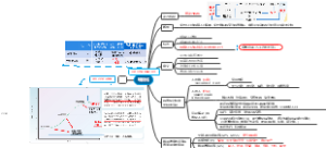 城市化思维导图