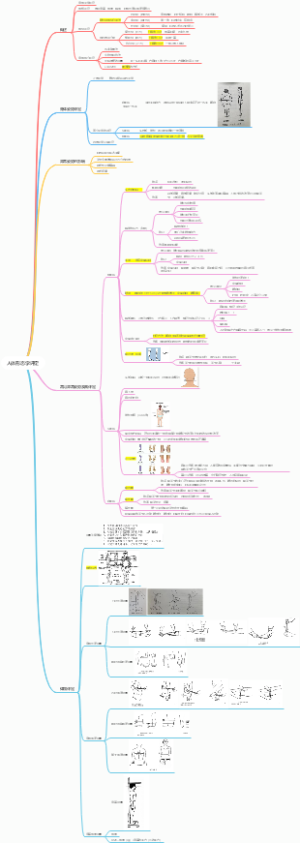 人体形态学评定