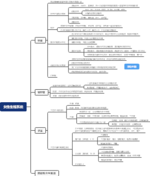 女性生殖系统