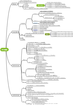 dna的复制思维导图图片