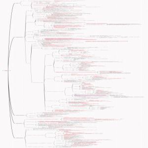 内科-循环系统-高血压1