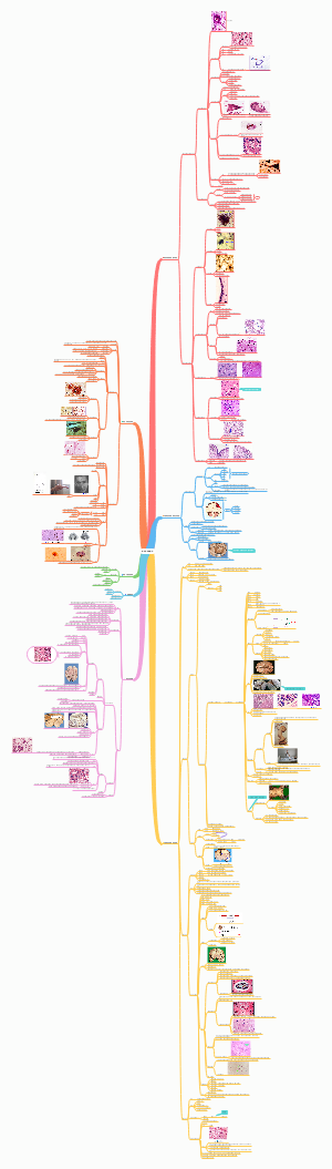 神经系统病理学