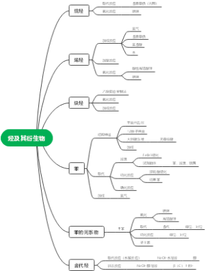 烃及其衍生物