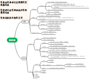 软骨和骨