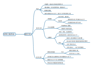 基因工程导图笔记