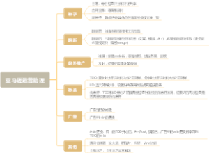 亚马逊运营助理
