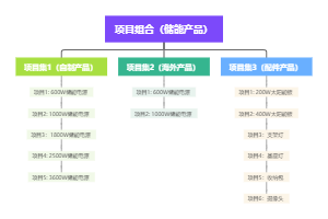 储能项目组合管理