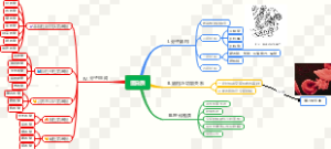 蛋白质