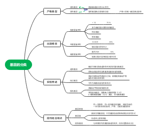 生物学-基因的分类思维导图
