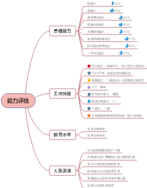 能力评估思维导图